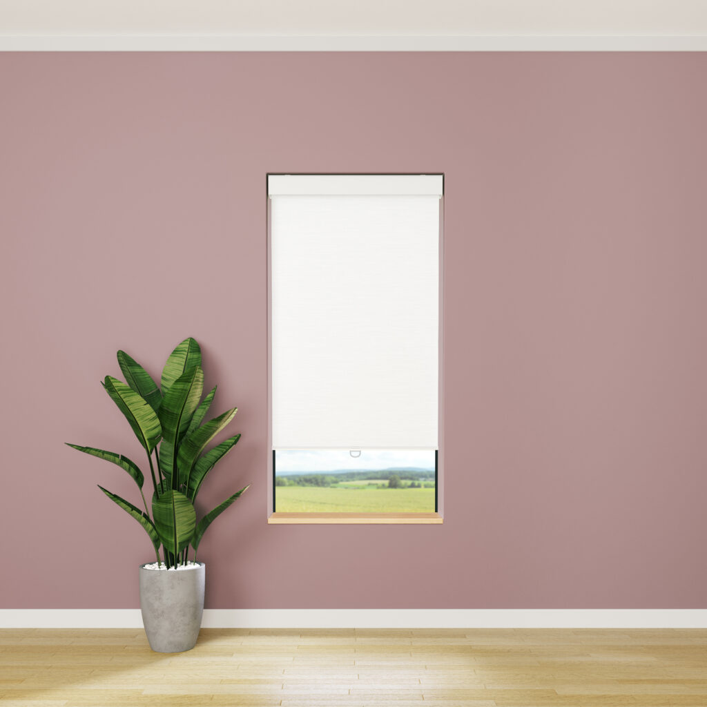 godistribution_avanat_opaque_scene_white